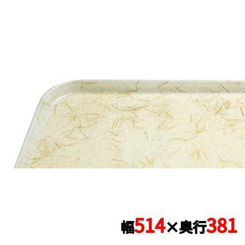 キャンブロ カムトレイ 1520（526）G/A/P/G CAMTRAYS