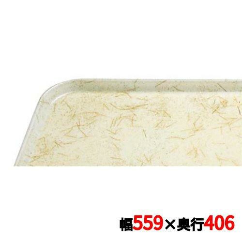 トレー キャンブロ カムトレイ 1622(526)G/A/P/G CAMTRAYS