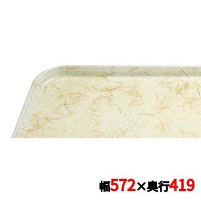 キャンブロ カムトレイ 16225（526）G/A/P/G CAMTRAYS