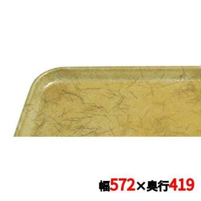 キャンブロ カムトレイ 16225（528）G/C/B/G CAMTRAYS