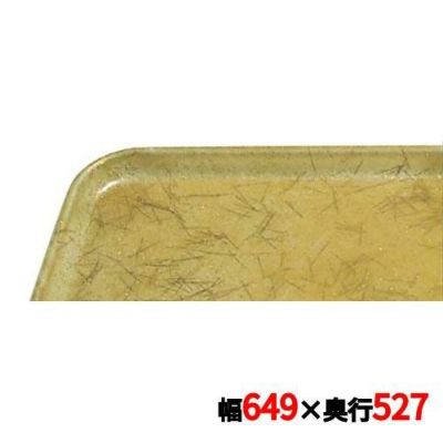 キャンブロ カムトレイ 2025（528）G/C/B/G CAMTRAYS