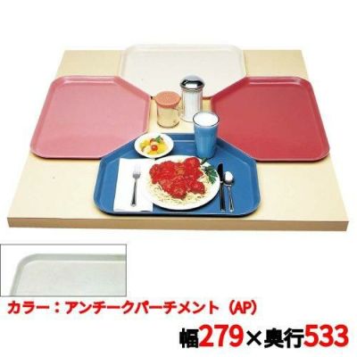 キャンブロ トラペゾイドカムトレイ 1121TR（101）A/P CAMTRAYS