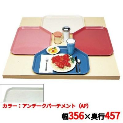 キャンブロ トラペゾイドカムトレイ 1418TR（101）A/P CAMTRAYS