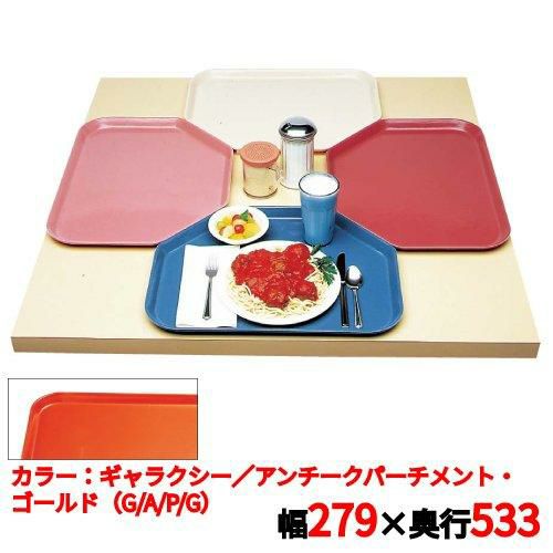 トレー キャンブロ トラペゾイドカムトレイ 1121TR(526)G/A/P/G CAMTRAYS