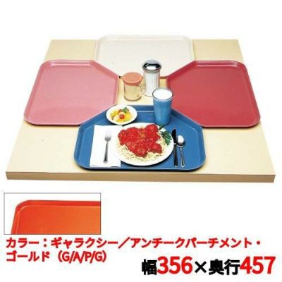 キャンブロ トラペゾイドカムトレイ 1418TR（526）G/A/P/G CAMTRAYS
