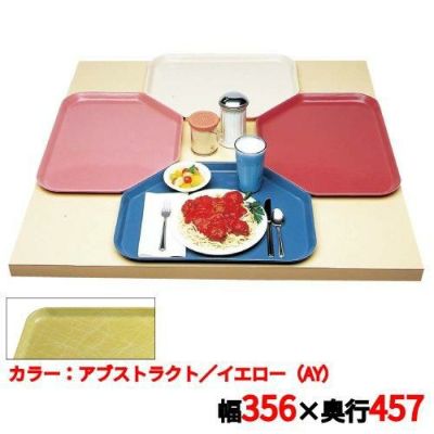 キャンブロ トラペゾイドカムトレイ 1418TR（218）A/Y CAMTRAYS