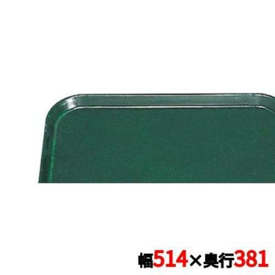 カムトレー 1520(119)シアウッドグリーン ＣＡＭＢＲＯ 6192300-