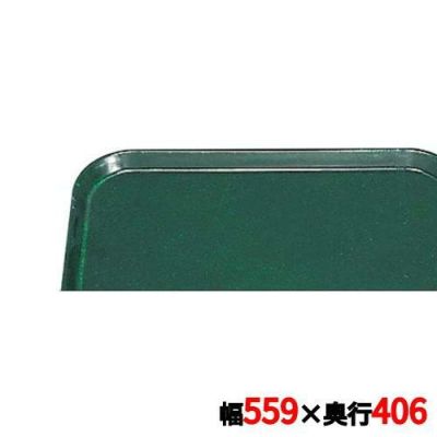 キャンブロ カムトレイ 1622（119）シアウッドグリーン CAMTRAYS