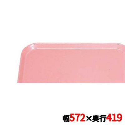 キャンブロ カムトレイ 16225（409）ブラッシュ CAMTRAYS