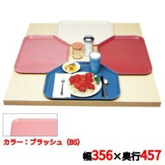 キャンブロ トラペゾイドカムトレイ 1418TR（409）ブラッシュ CAMTRAYS