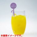 ノンアルコールマーカー/10入